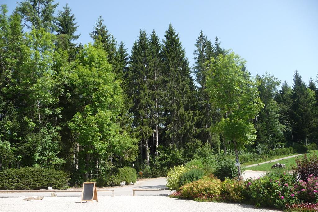 Domaine De La Sapiniere Hotel Thorens-Glières Eksteriør billede